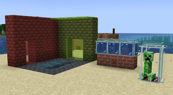 Glass Doors & Trapdoors