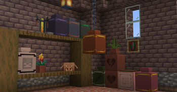 Dyed & Trimmed Pots