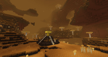 The Fungal Plains