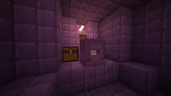 Elytra core in end ship