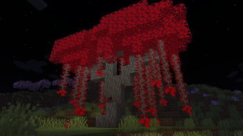 Ancient Tree