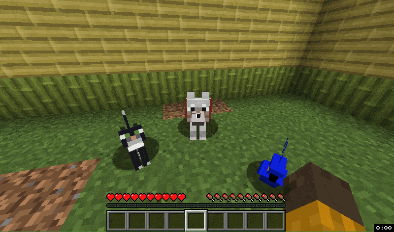 Pat your pet