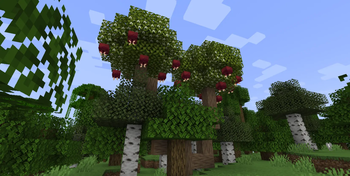 Ciderine Tree