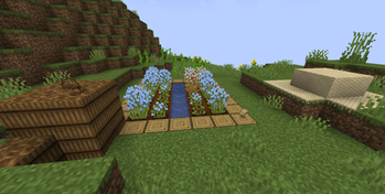 Flax