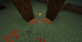 Rusty Clovers