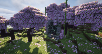 Cherry Blossom Portal