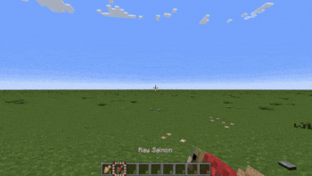1.21.4 Animated Models
