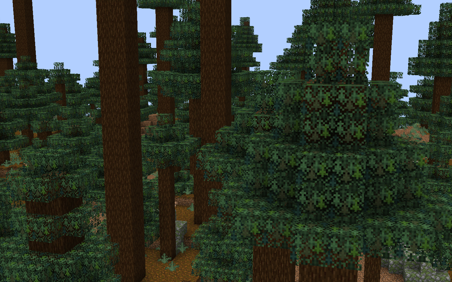 Spruce Forest Comparison