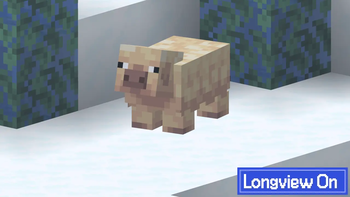 Longview Comparison (On)