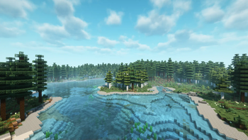 Pine and Birch Taiga