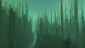 Kelp Forest