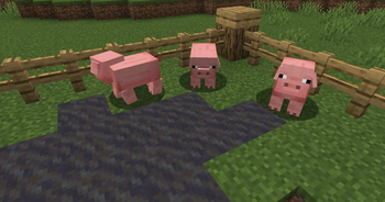 Pig Tweaks
