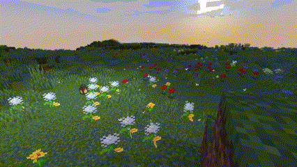 Meadows Ambience