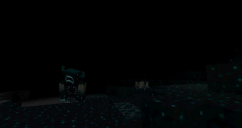 The Wild Update