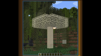 Using Spyglass to Scan
