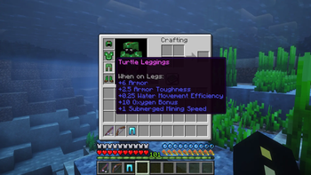 Turtle Armor Stats