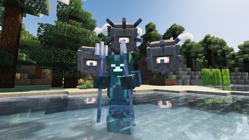Elder Drowned