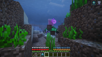 Turtle Armor Swiming