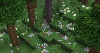 Flower Forest