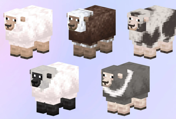 Remodelled Sheep