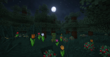 Creeper Woods