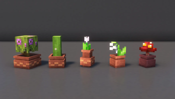 Rotated Flower Pots