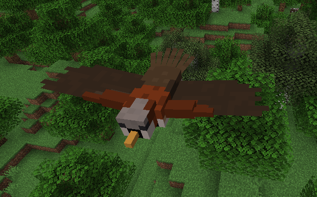 Bird in the forest