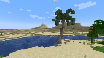 Palm Tree