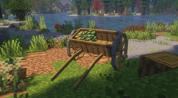 Seed Drill