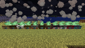 Copper Campfires