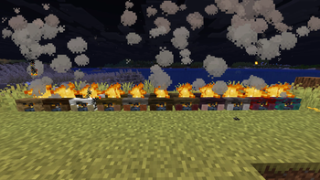 Campfires