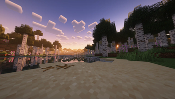 Legacy Birch Forest (3)