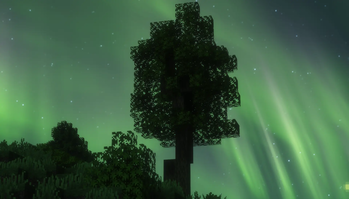A Lonesome Tree