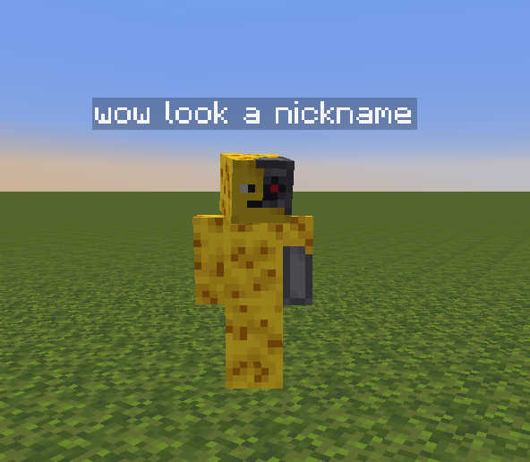 A Functioning Nickname