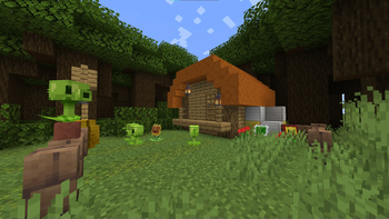 Lawn