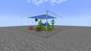 An aquarium with a connected glass mod