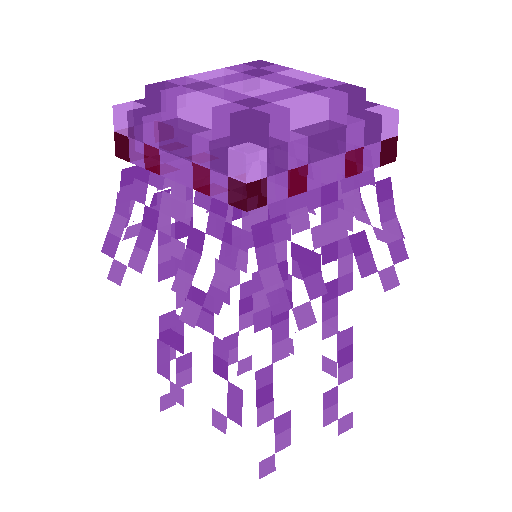 Jellyfish