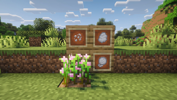 Cotton