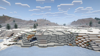 Snowy Shore