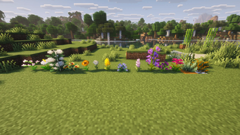 Flora
