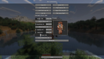 Ingame Settings