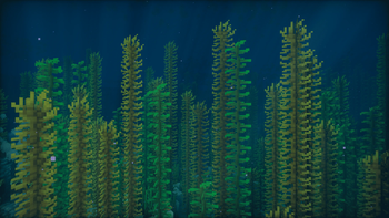 Sargassum Forest in a Lukewarm Ocean