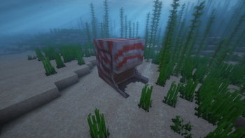 Krakentilus hidden in Its Shell