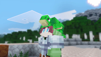 Fresh Turtle Helmets
