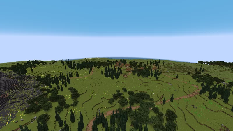 Sunflower Plains