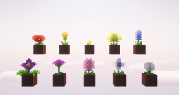First Release Flowers