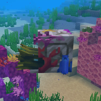 Mounts of Mayhem - Coral Zombie Nautilus