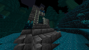 photo5