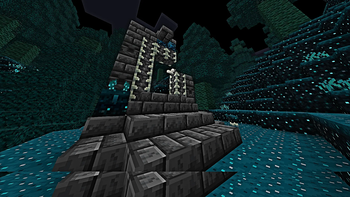 photo6