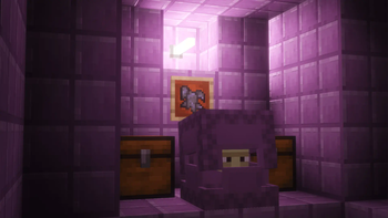 Elytra Fragment